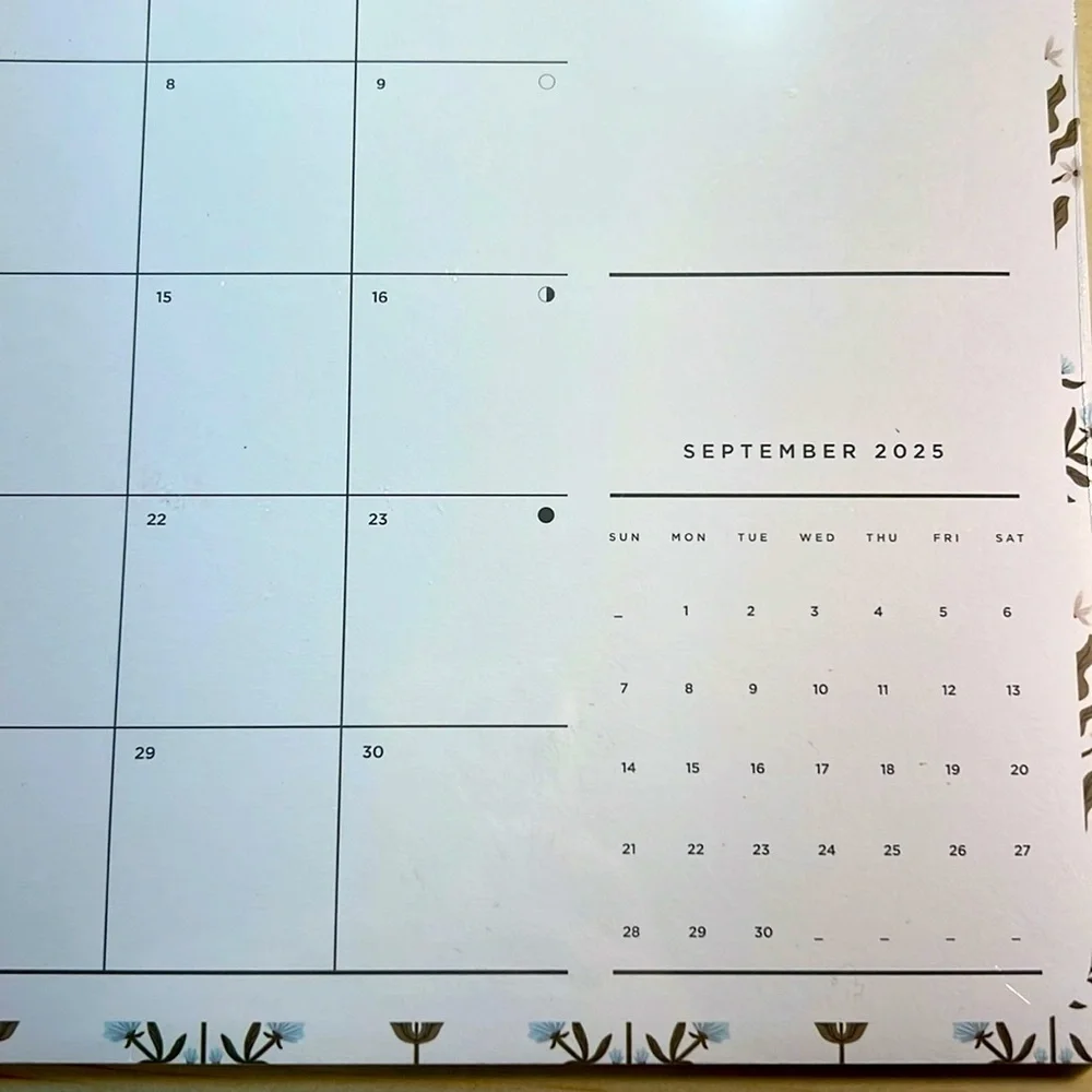 NWT Fringe Studio Elegant Gold and Cream Wall Calendar 17 Months